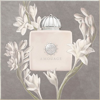 Love Tuberose Amouage